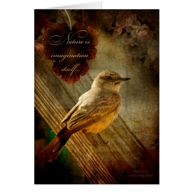 Cartão Natureza é imaginação (Frente)