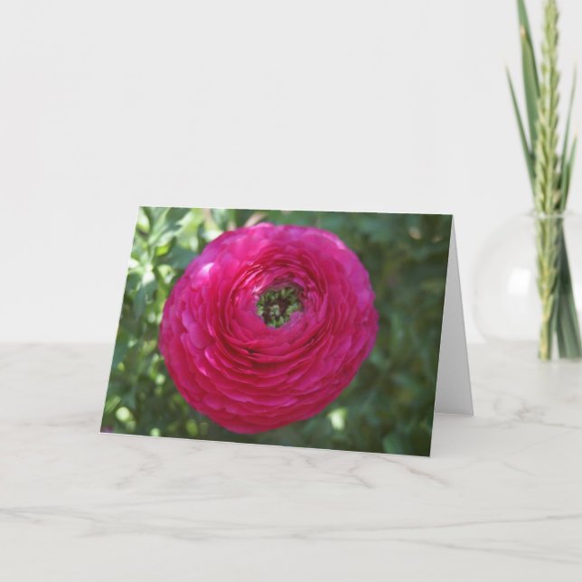 Cartão Natureza Fotografia (Frente)