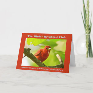 Cartão Natureza Fotografia Summer Tanager Birder