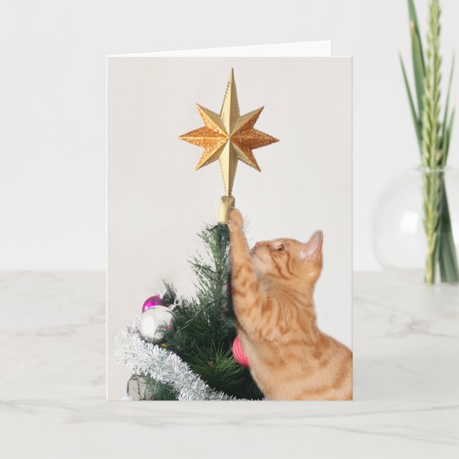 Cartão Naughn Orange Tabby Christmas (Frente)