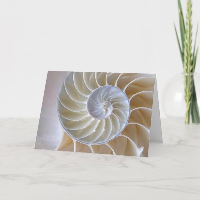 Cartão Nautilus Seashell| Espiral Ouro (Frente)