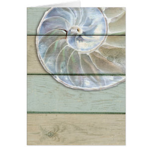 Cartão Nautilus Shell