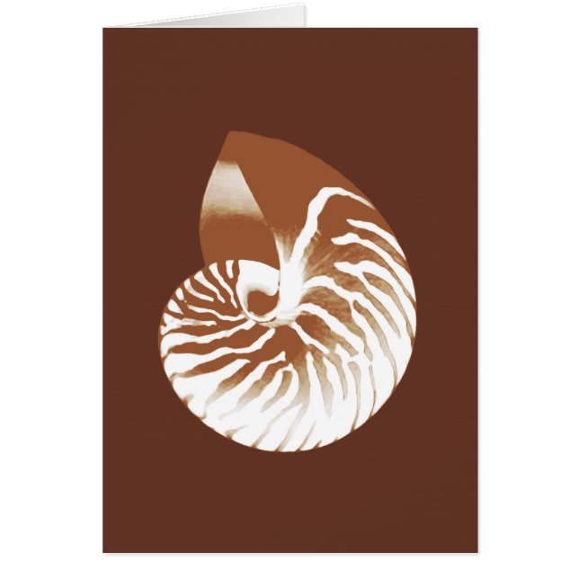 Cartão Nautilus shell - cacau castanho e branco (Frente)