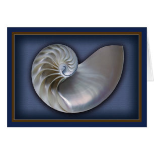 Cartão Nautilus Shell horizontal