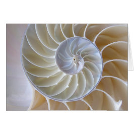 Cartão Nautilus Shell Ouro Fotografia Espiral