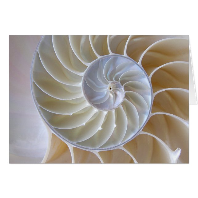 Cartão Nautilus Shell Ouro Fotografia Espiral (Frente Horizontal)