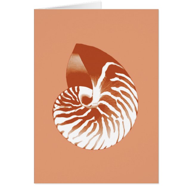 Cartão Nautilus shell - terracotta e branco (Frente)