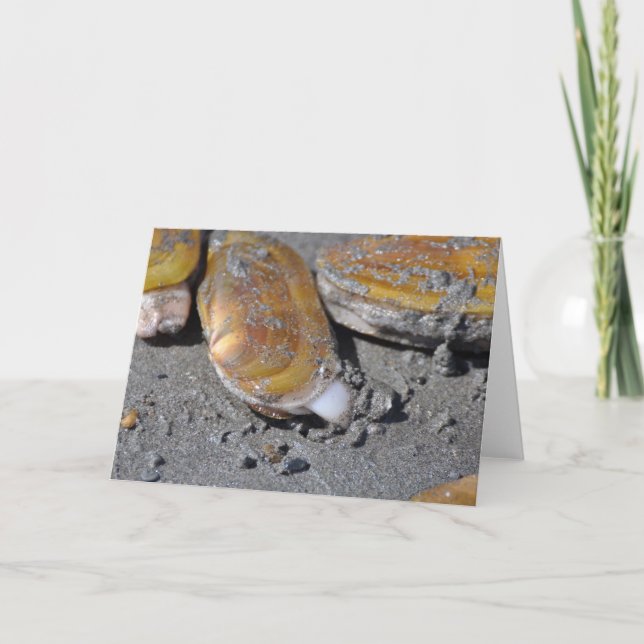 Cartão Navalhas (Frente)