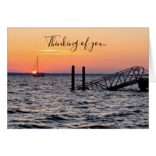 Cartão Navarre Florida Papais noeis Rosa Sunrise TOY Card