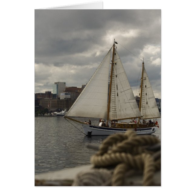 Cartão Navegação em boas condições (Frente)