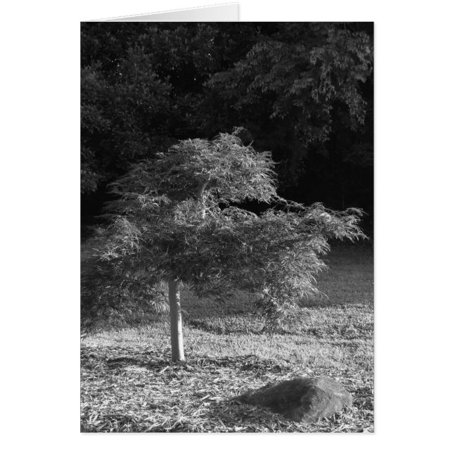 Cartão NC / Nó, placa (Frente)