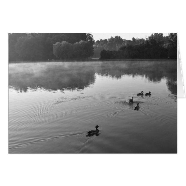 Cartão NC / Nó, placa (Frente Horizontal)