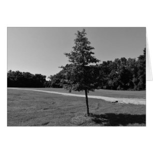 Cartão NC / Nó, placa