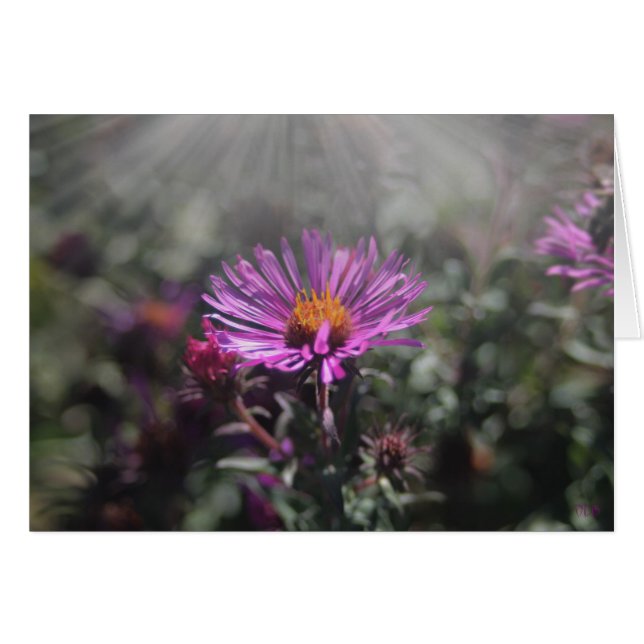 Cartão Nebraska cidade outubro de 2015 (Frente Horizontal)