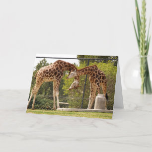 Cartão necking giraffe card
