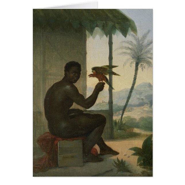 Cartão Negro brasileiro com pássaro tropical (Frente)