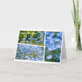 Cartão NEMOPHILA（Baby Blue Eyes）