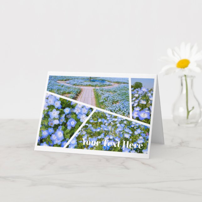 Cartão NEMOPHILA（Baby Blue Eyes） (Planta pequena)