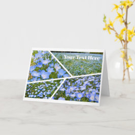 Cartão NEMOPHILA（Baby Blue Eyes）