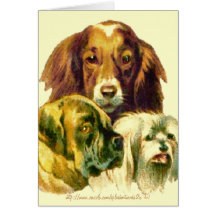 Nenhum humano poderia te amar tanto quanto eu