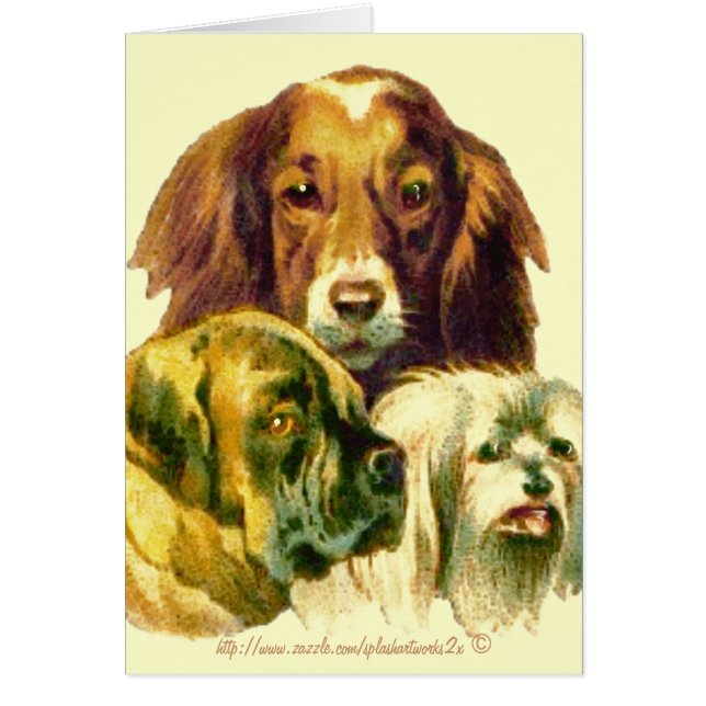 Cartão Nenhum humano poderia te amar tanto quanto eu (Frente)