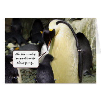 Cartão Nenhum pinguim livre do almoço