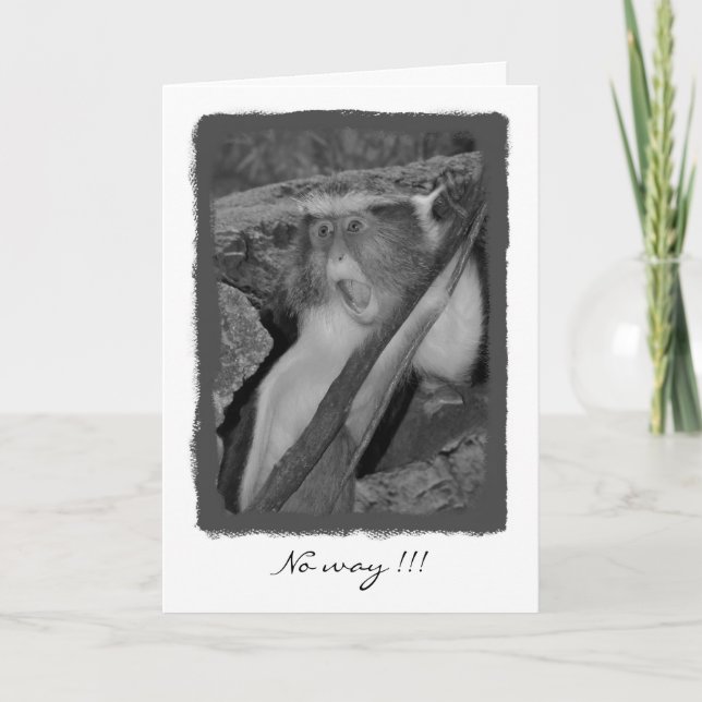 Cartão Nenhuma maneira, aniversário! (Frente)