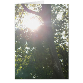 Cartão Nenhuma Razão Boa