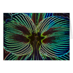 Cartão Neon Amaryllis