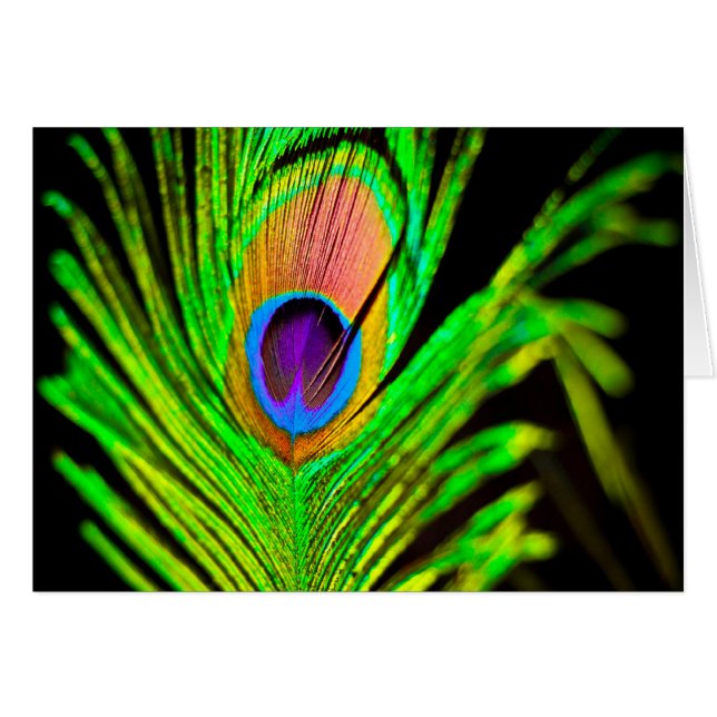 Cartão Neon Colors Peacock Feather (Frente Horizontal)