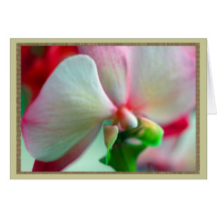 Cartão Neon Orchid