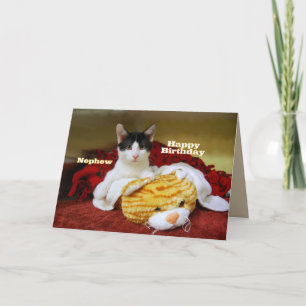 Cartão Nephew Feliz Aniversário Kitten com Tigre Brinqued