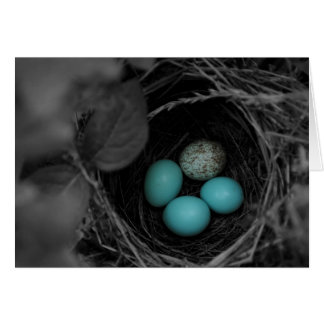 Cartão Nest parasitismo