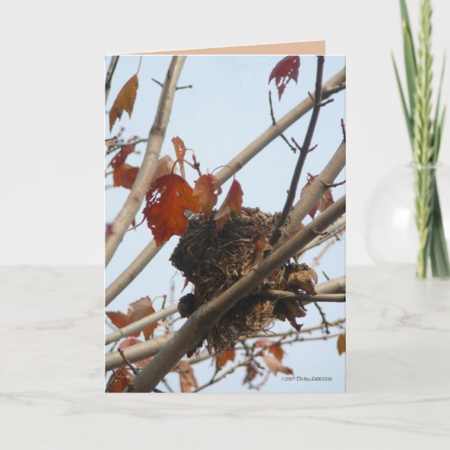 Cartão Nest Revelado (Frente)