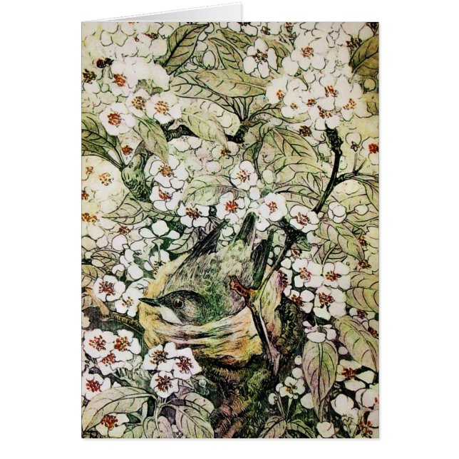 CARTÃO NESTE DE PÁSSAROS, ÁRVORE COM FLORES DE PRIMAVERA  (Frente)