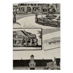 Cartão Nestledown, Fazenda Zebley