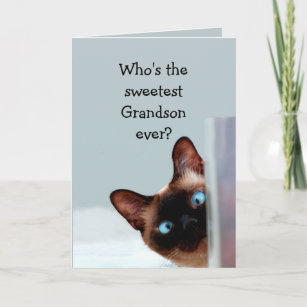 Cartão Neto Funny Birthday deseja gato siamês