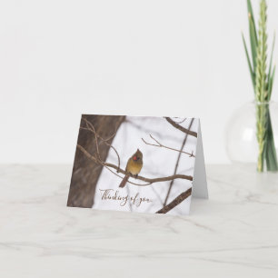 Cartão Neve Mais Uma Vez Diz A Senhora Cardeal Pensando E