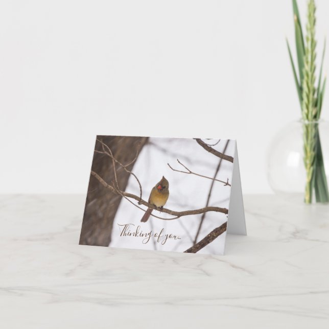 Cartão Neve Mais Uma Vez Diz A Senhora Cardeal Pensando E (Frente)