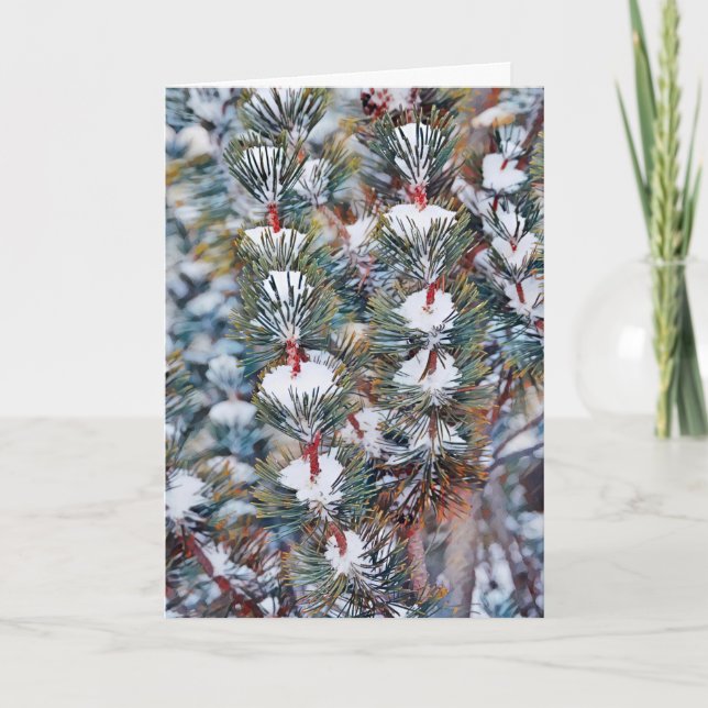 Cartão Neve no Pine Branch Art Christmas Card (Frente)