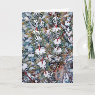 Cartão Neve no Pine Branch Art Christmas Card