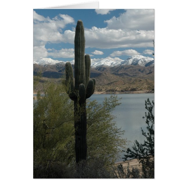 CARTÃO NEVE NOS PICO (Frente)
