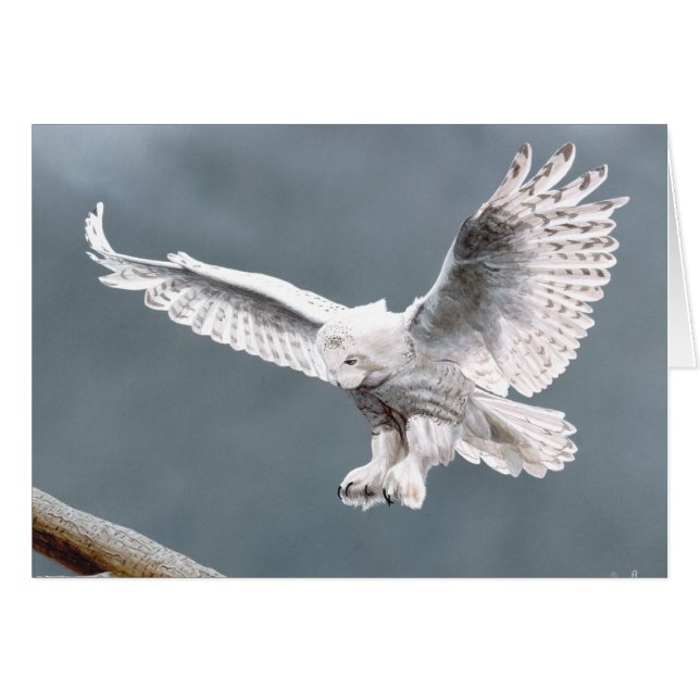 Cartão Neves (Frente Horizontal)