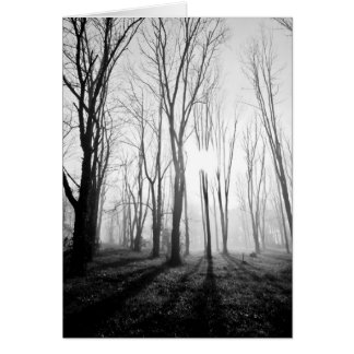 Cartão Névoa da floresta