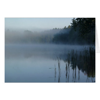 Cartão nevoeiro na pata do urso