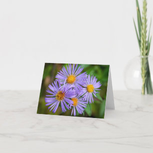 Cartão New England Aster