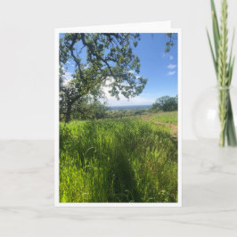 Cartão New Life - 1