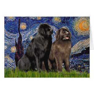 Cartão Newfie Pair - Noite Estrelada