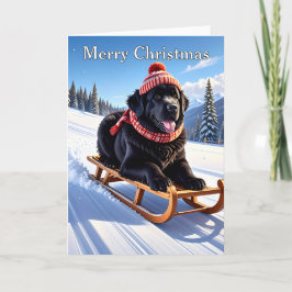 Cartão Newfoundland Dog Christmas