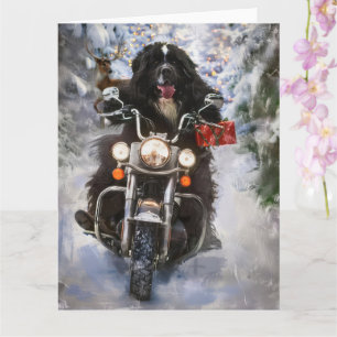 Cartão Newland Dog Riding Motorcycle Christmas